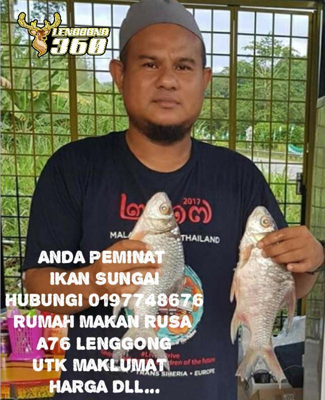 Branda Kampung Sumpitan Lenggong Tiada Sungai Ξενοδοχείο Kampong Ulu Jepai Εξωτερικό φωτογραφία