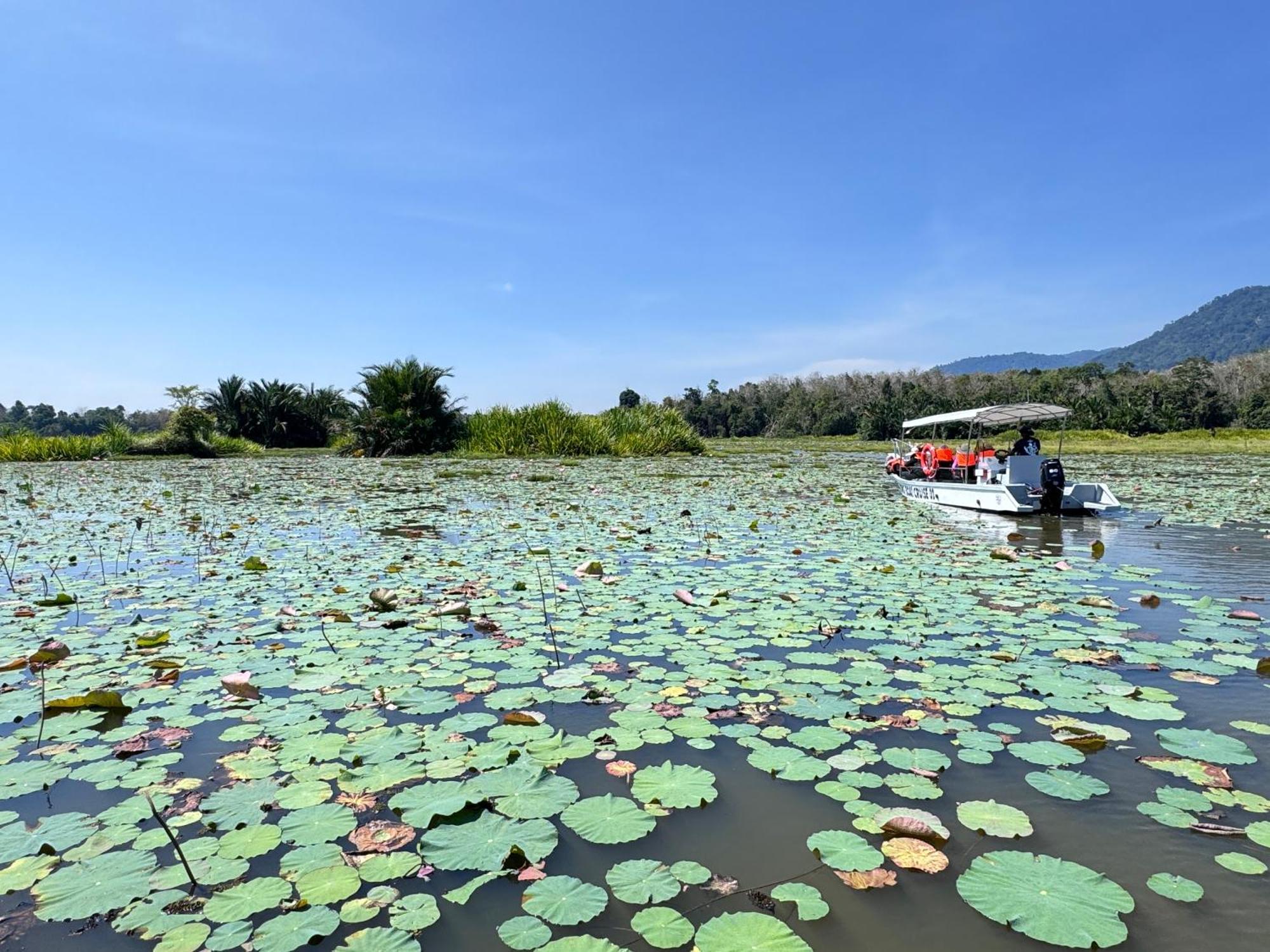 Branda Kampung Sumpitan Lenggong Tiada Sungai Ξενοδοχείο Kampong Ulu Jepai Εξωτερικό φωτογραφία