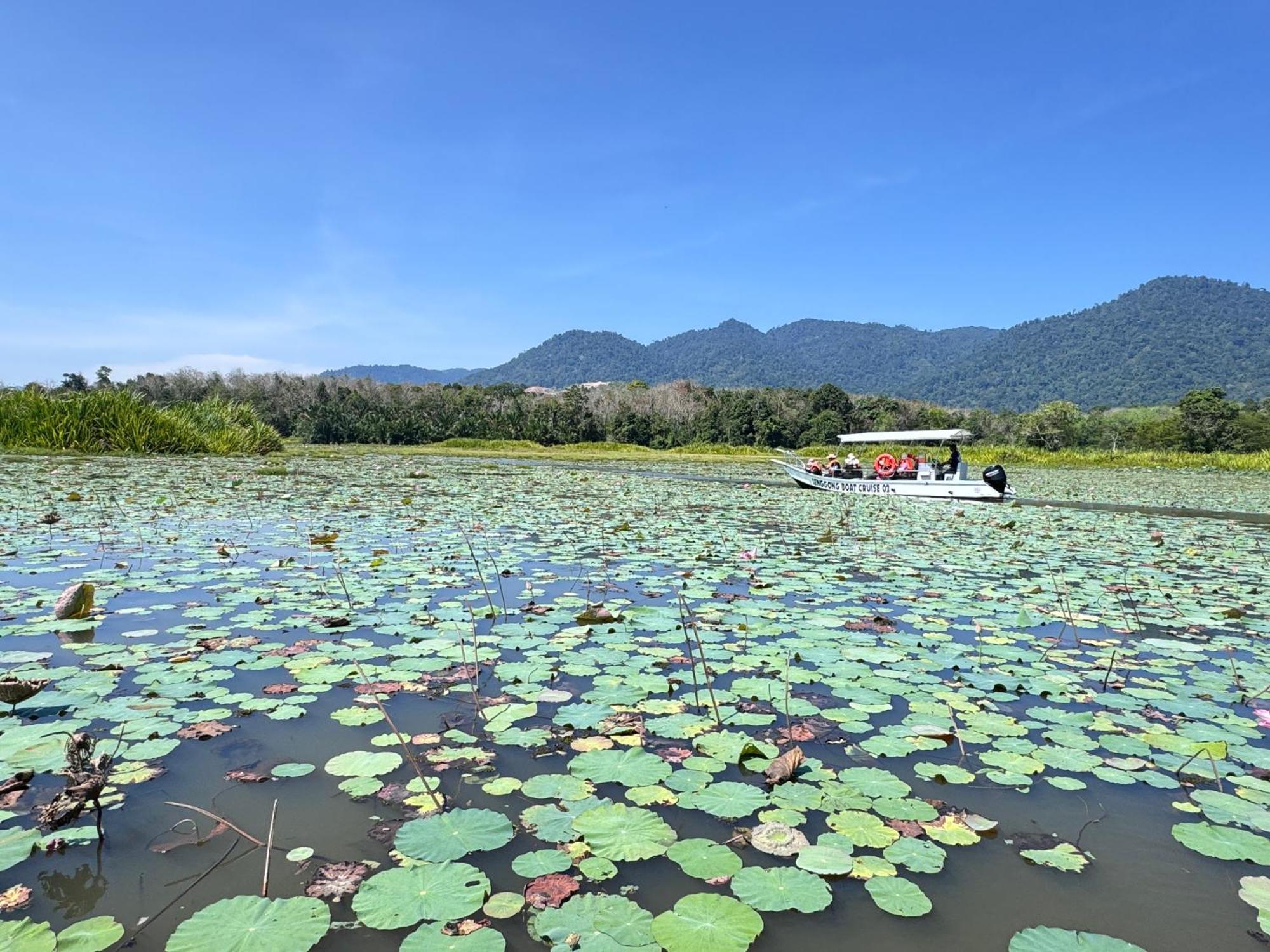 Branda Kampung Sumpitan Lenggong Tiada Sungai Ξενοδοχείο Kampong Ulu Jepai Εξωτερικό φωτογραφία